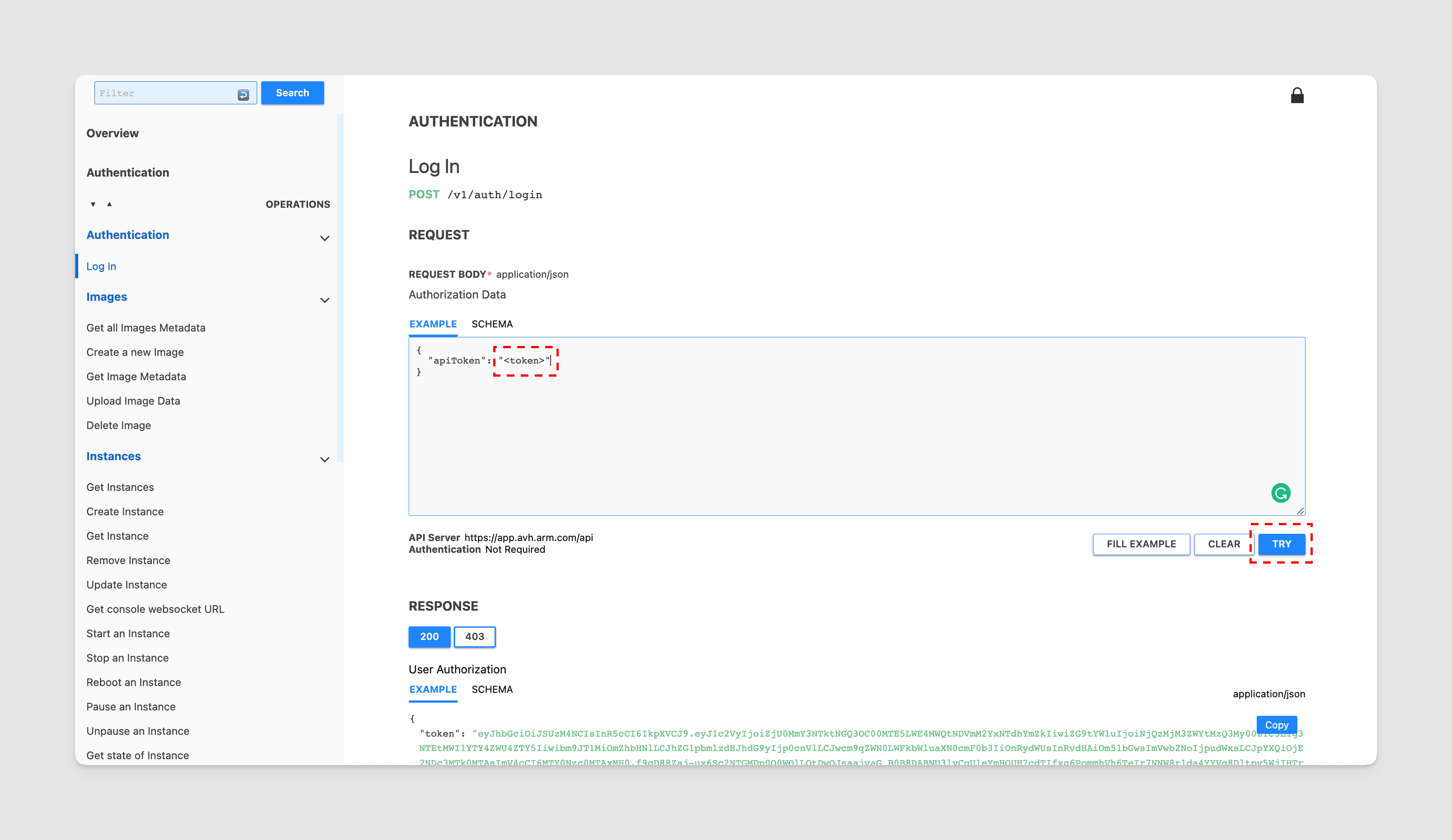 Paste the API Token